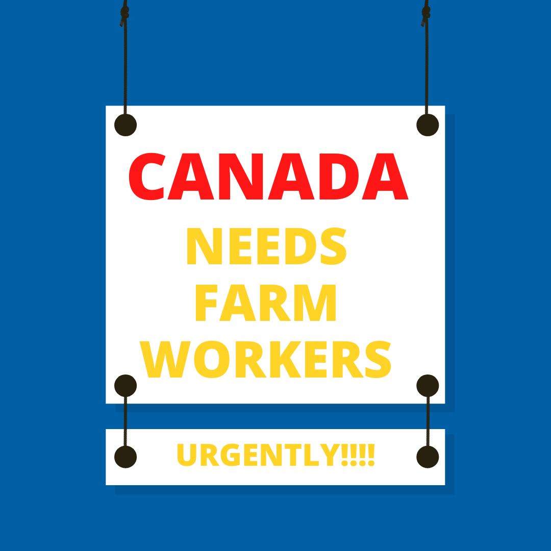 farm worker jobs in canada with visa sponsorship